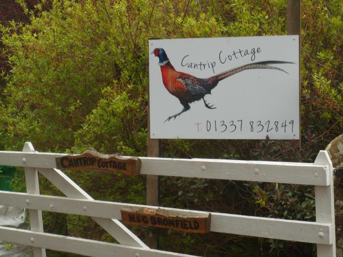 Cantrip Cottage クーパー エクステリア 写真
